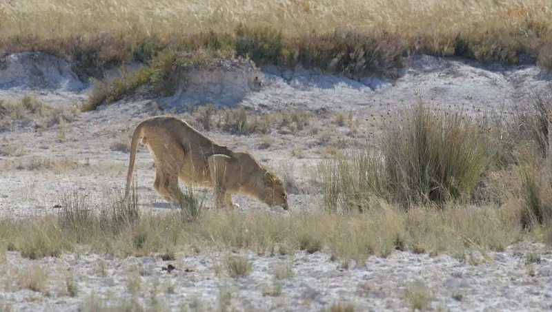 Namibia12-057.jpg