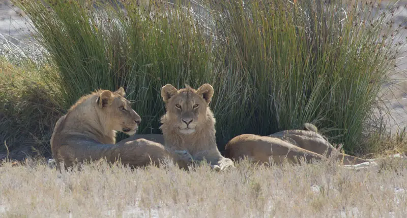 Namibia12-059.jpg