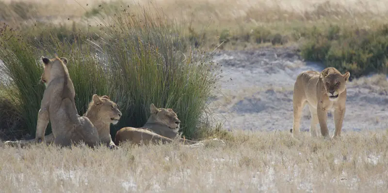 Namibia12-060.jpg