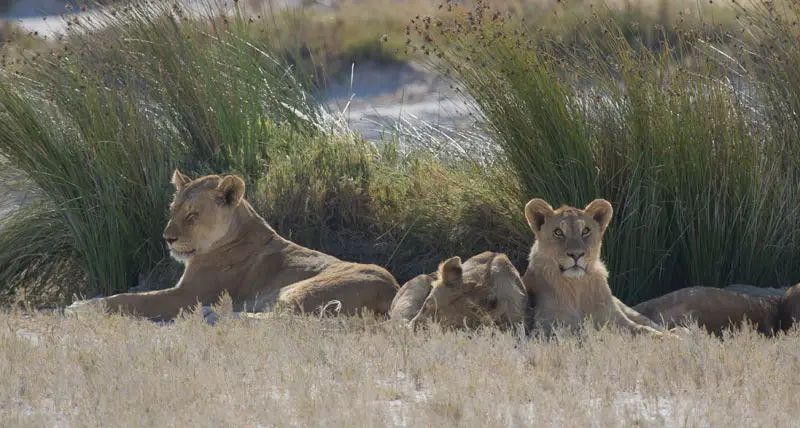 Namibia12-061.jpg