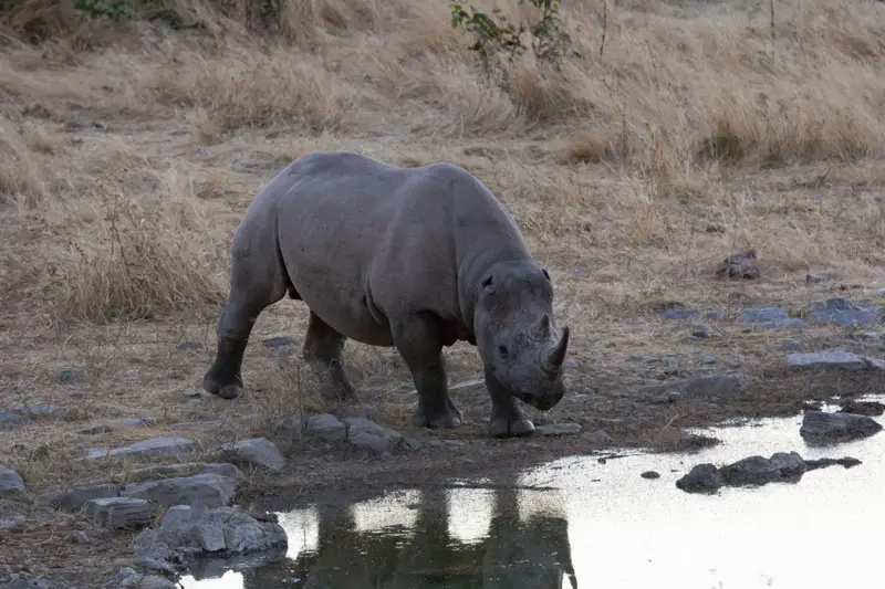 Namibia12-066.jpg