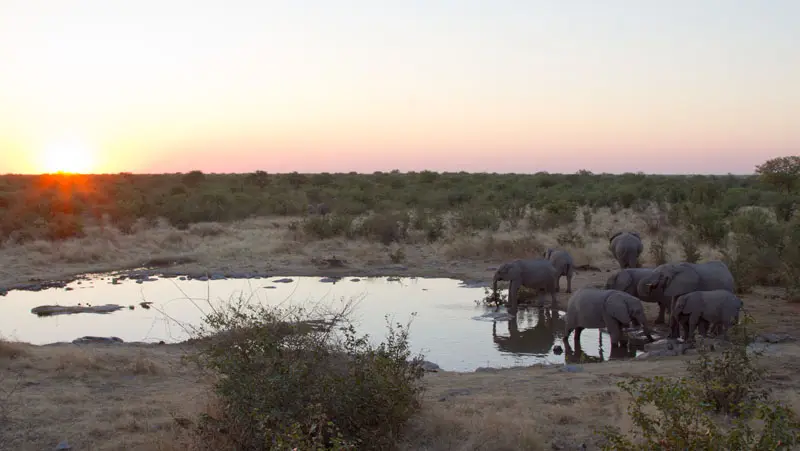 Namibia12-068.jpg