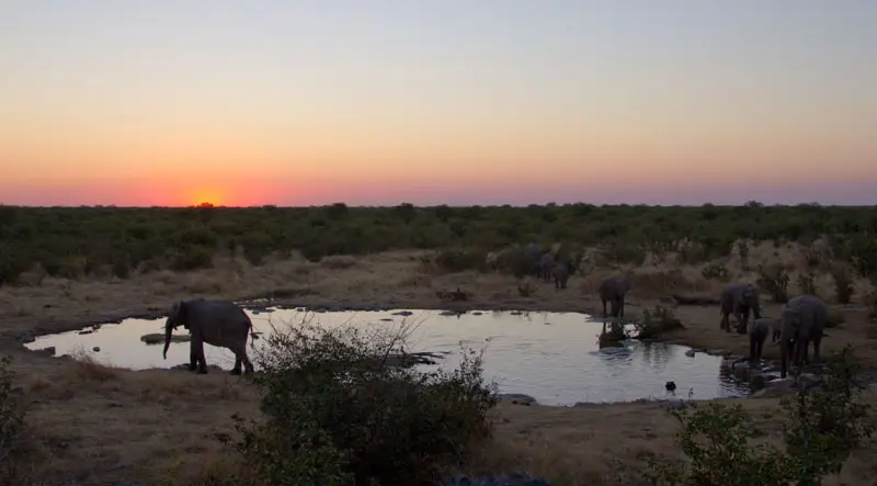 Namibia12-069.jpg