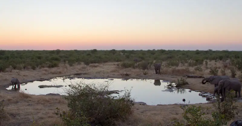 Namibia12-070.jpg