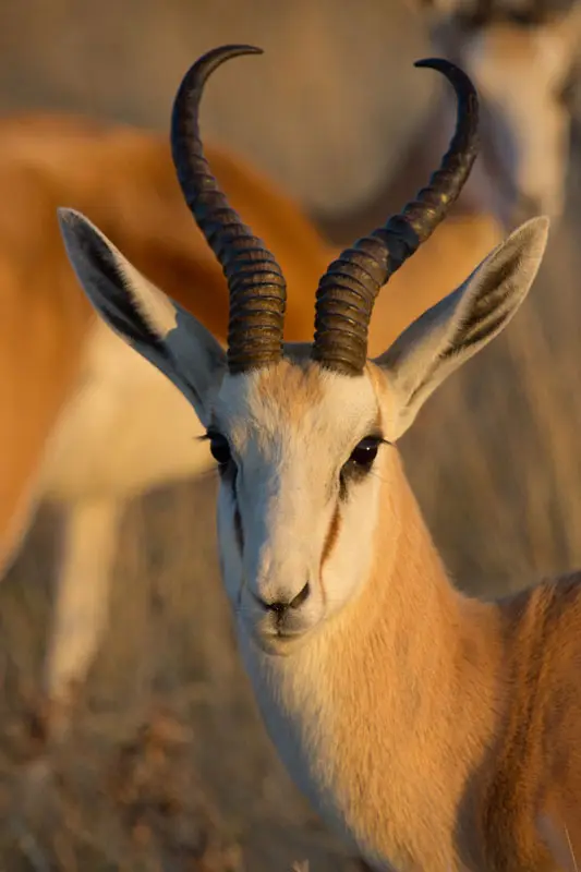 Namibia12-073.jpg