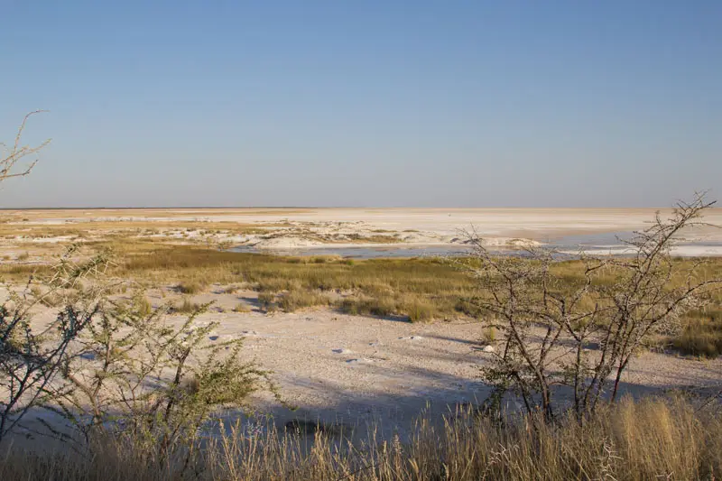 Namibia12-075.jpg