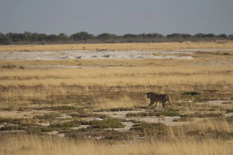 Namibia12-076.jpg