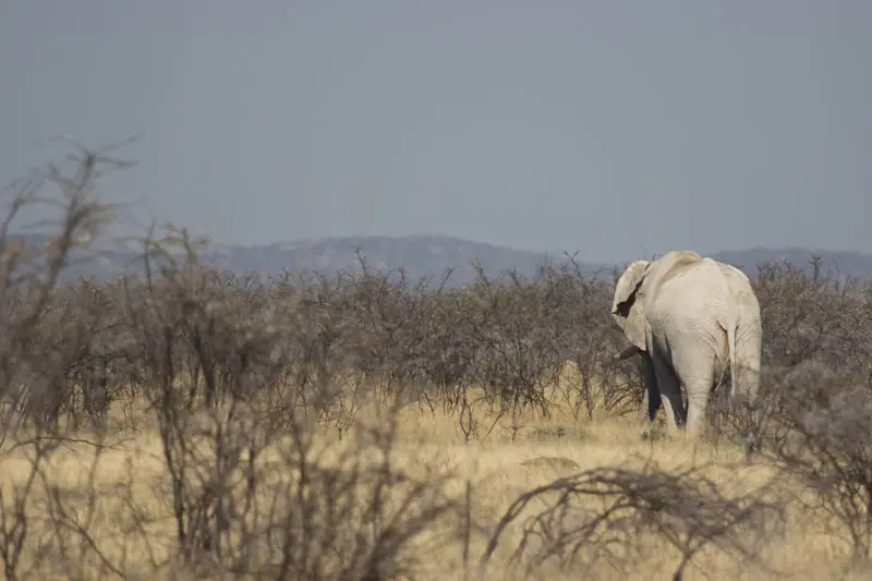 Namibia12-080.jpg