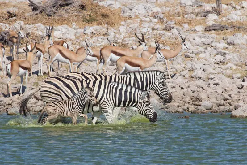 Namibia12-083.jpg