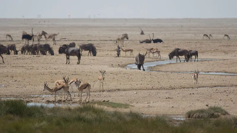 Namibia12-087.jpg