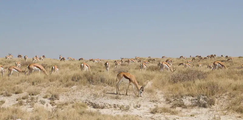 Namibia12-088.jpg