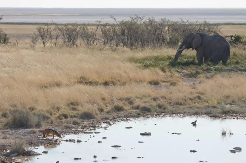 Namibia12-090.jpg