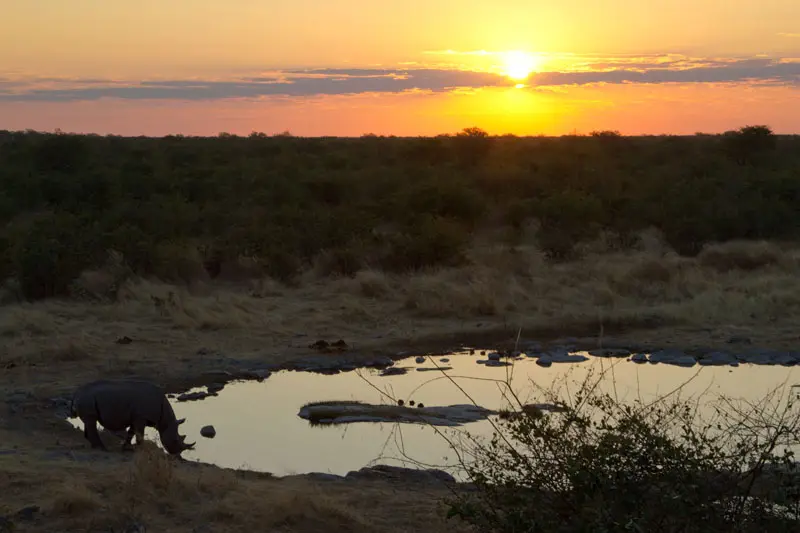Namibia12-099.jpg