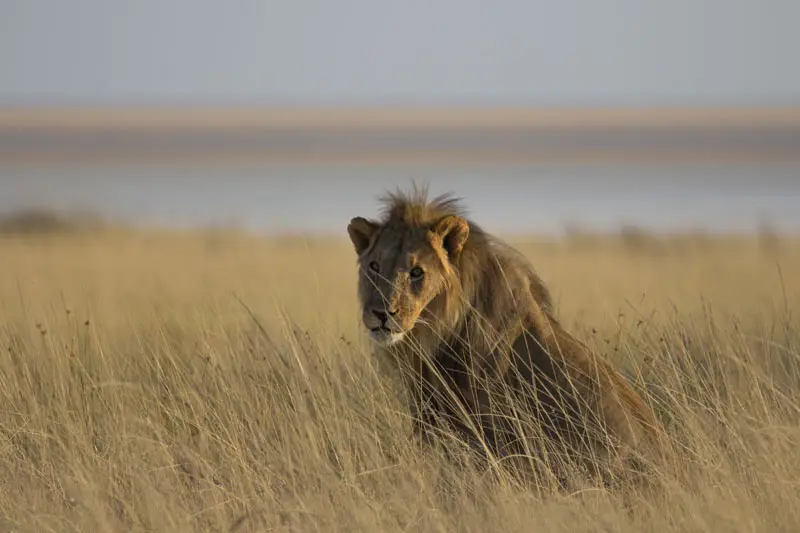 Namibia12-107.jpg