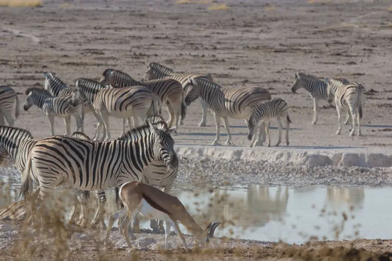Namibia12-109.jpg