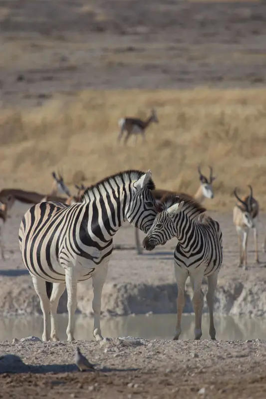 Namibia12-110.jpg