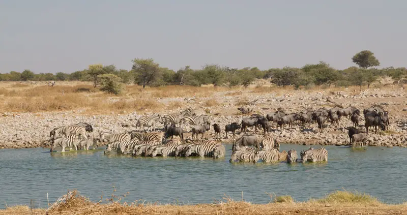 Namibia12-112.jpg