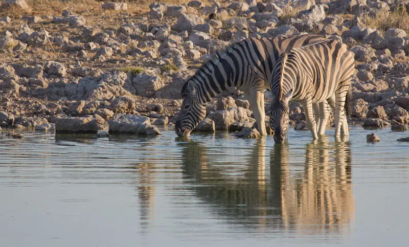 Namibia12-12.jpg