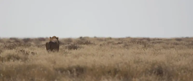 Namibia12-120.jpg