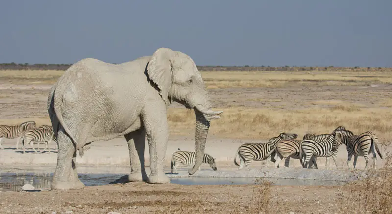 Namibia12-123.jpg