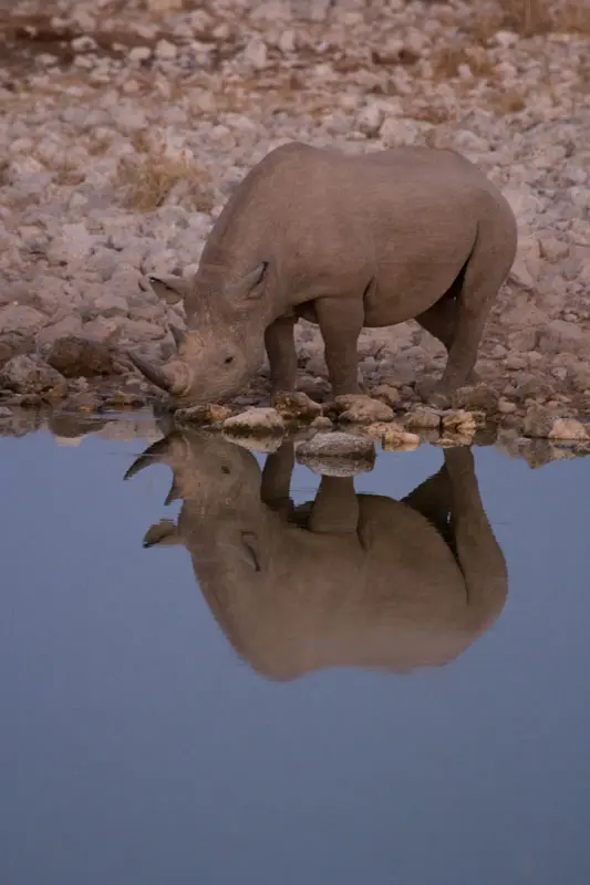 Namibia12-128.jpg