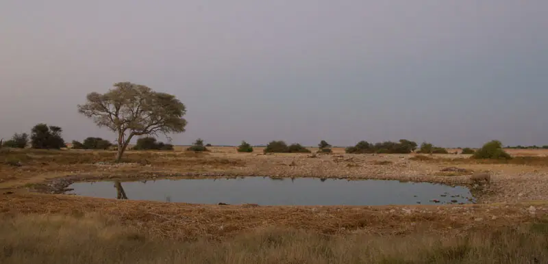 Namibia12-129.jpg