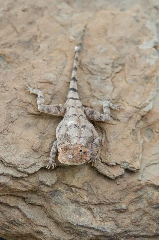 Namibia12-133.jpg