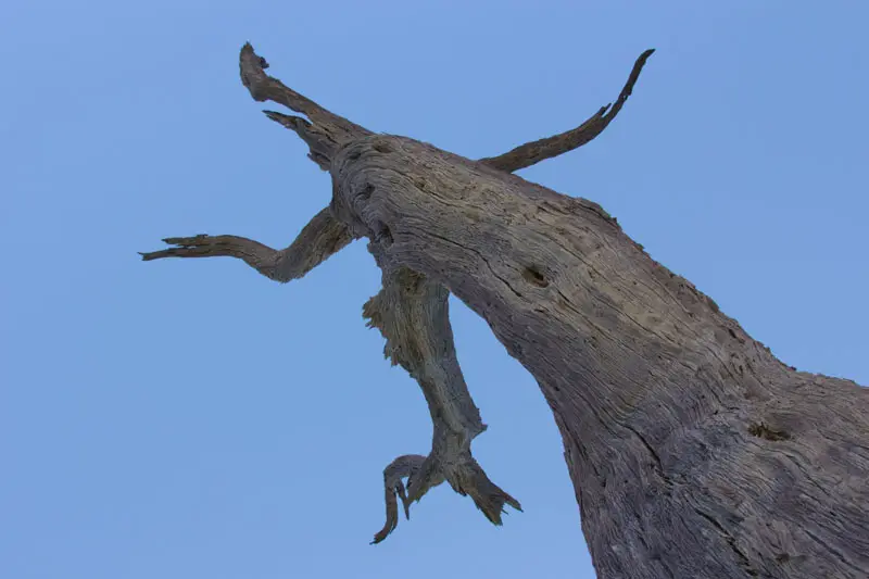 Namibia12-14_2012-11-19.jpg