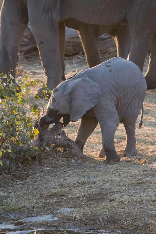 Namibia12-1_2012-07-02.jpg