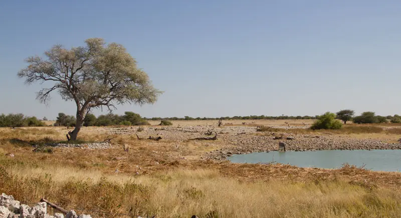 Namibia12-1_2012-07-06.jpg