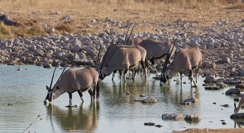 Namibia12-1_2012-07-15.jpg