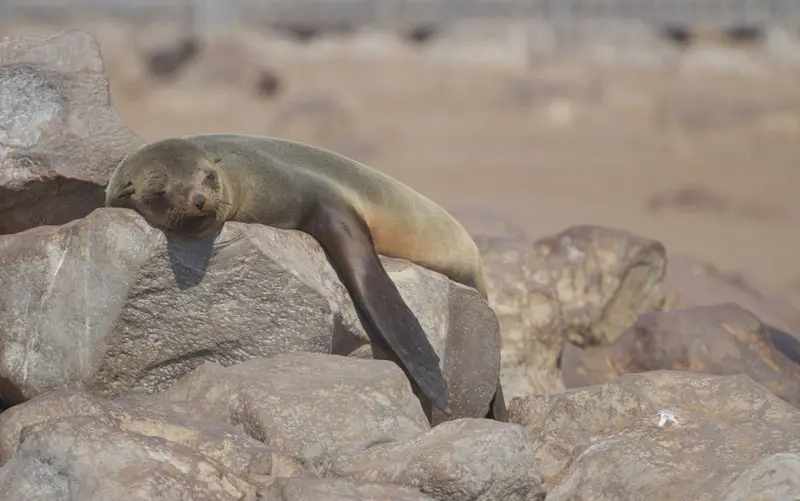 Namibia12-1_2012-07-25.jpg