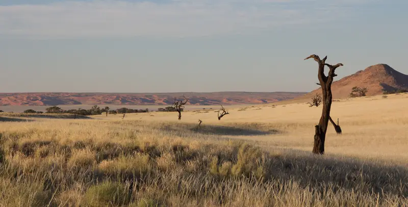 Namibia12-238.jpg