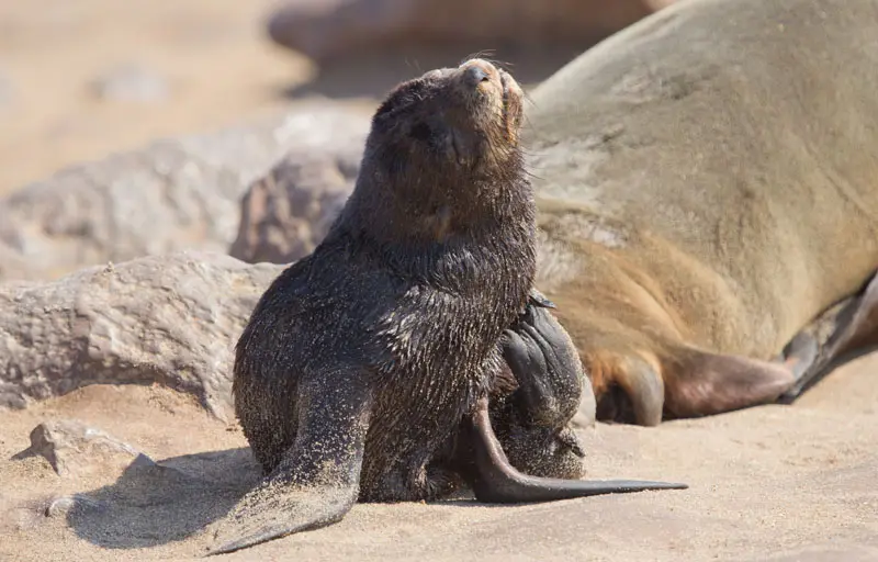 Namibia12-2_2012-07-25.jpg