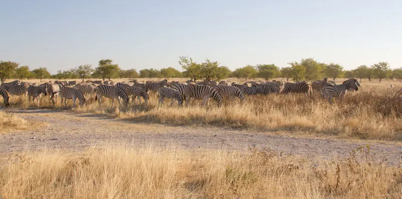 Namibia12-3_2012-07-06.jpg