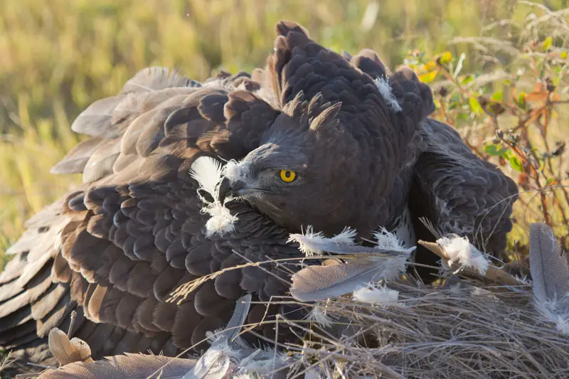 Namibia12-4_2012-07-06.jpg