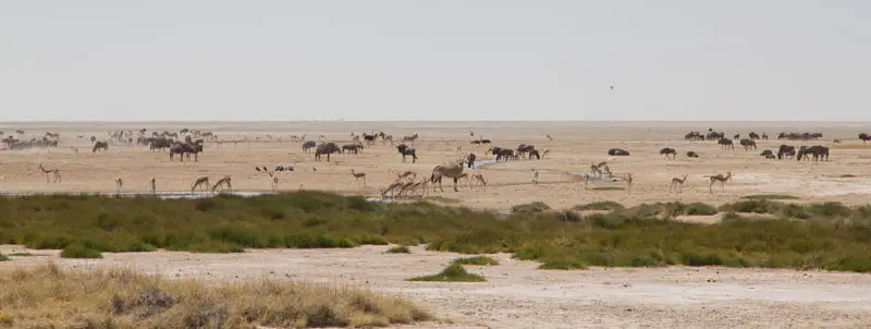 Namibia12-6.jpg