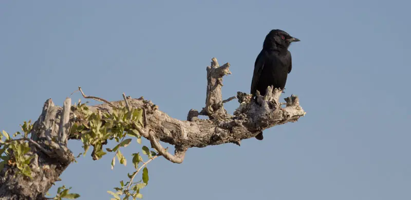 Namibia12-8.jpg
