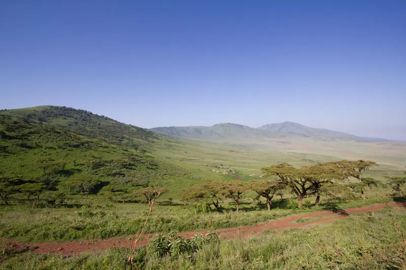 Tag503.jpg