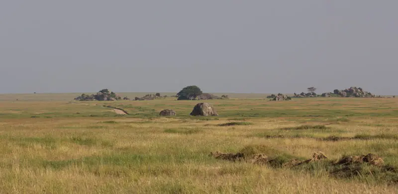 Tag715.jpg