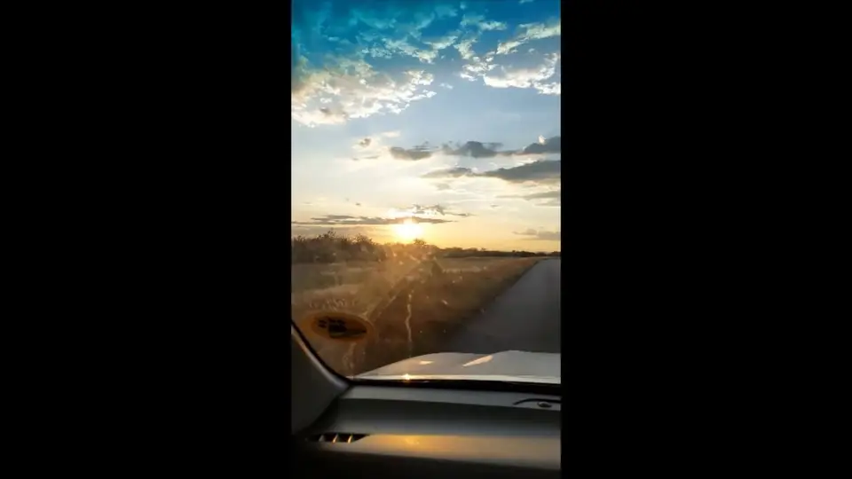Etosha---Tsumeb_Moment.jpg