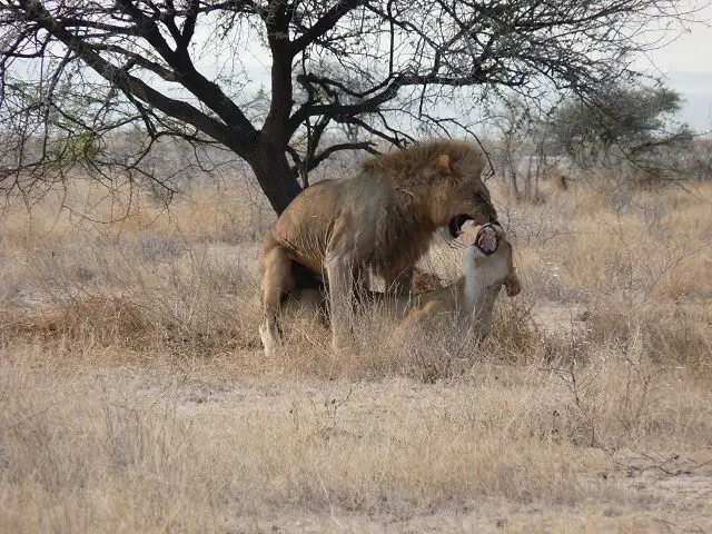 EtoshaNamutoni11.JPG