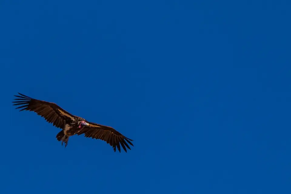 h071214f.jpg
