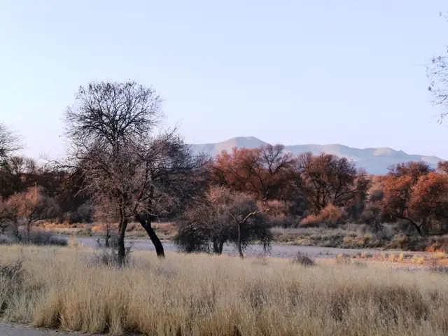 h3dc0842.JPG
