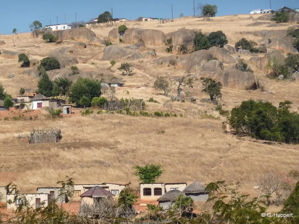 h5295545.jpg