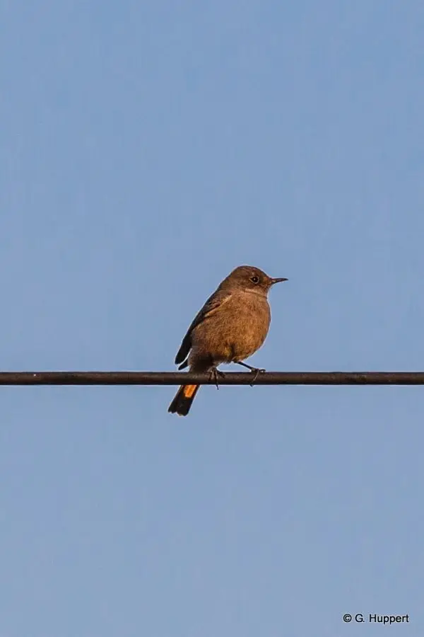 h5735e59.jpg