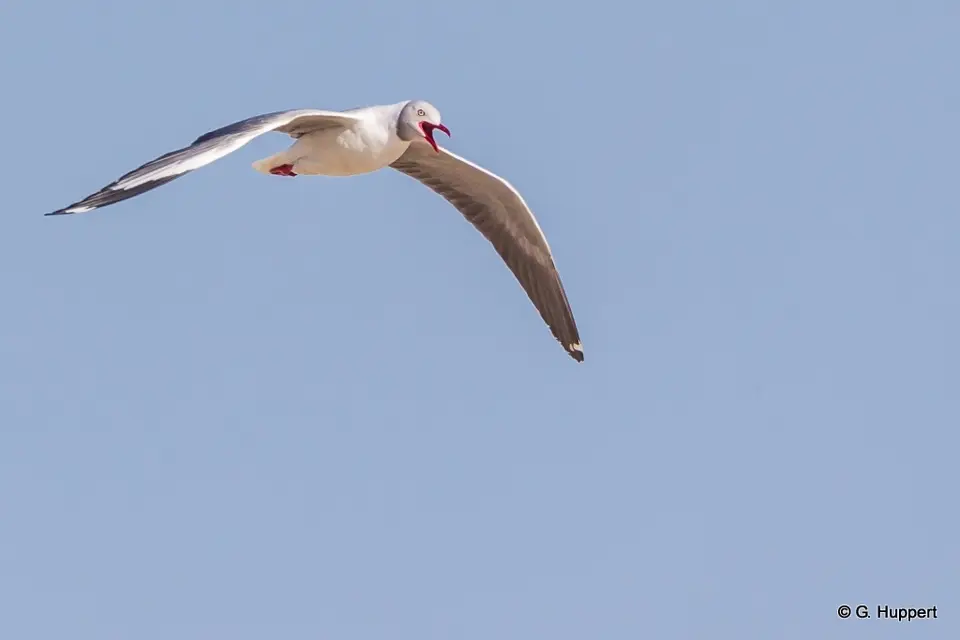 h5a431b0.jpg