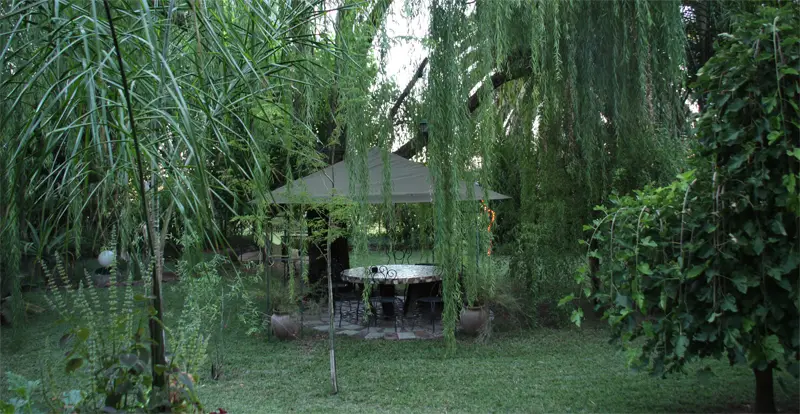 BuB0503.jpg