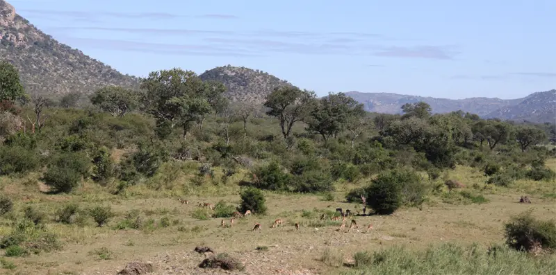 CrocodileRiver172.jpg