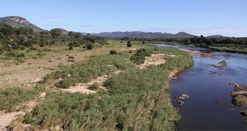 CrocodileRiver173.jpg